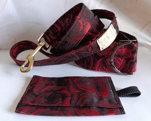 Set completo: martingala, guinzaglio e bustina