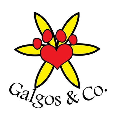 Galgos&Co